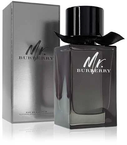 Burberry Mr. Burberry EDP parfumuotas vanduo vyrams, 100 ml