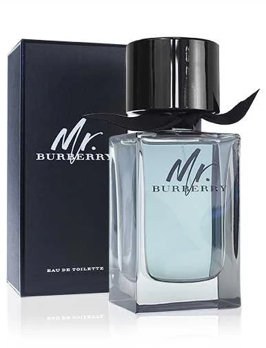Burberry Mr. Burberry EDT tualetinis vanduo vyrams, 100 ml