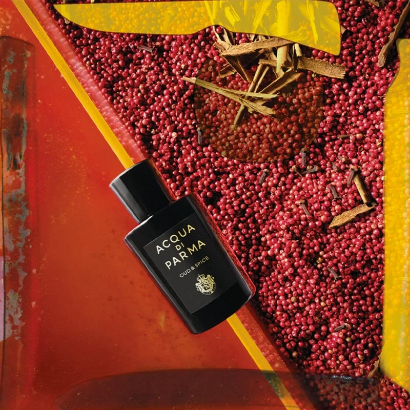Unisex kvepalai Acqua Di Parma Oud & Spice EDP, 100 ml
