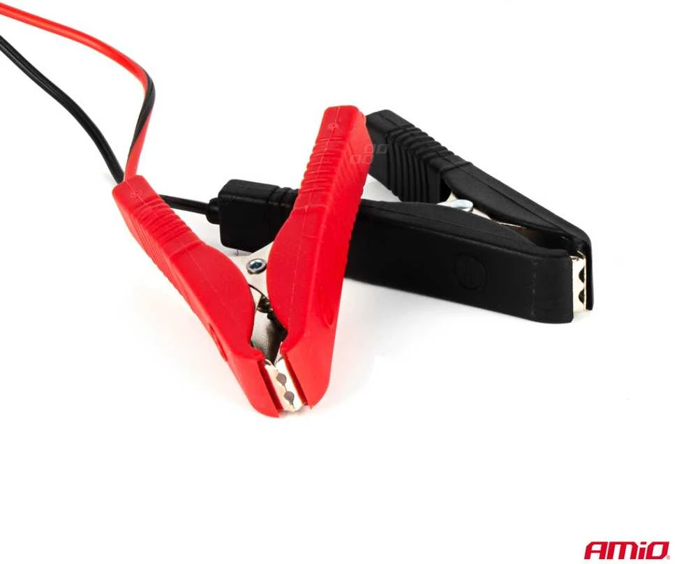 Amio Automobilio akumuliatoriaus įkroviklis 6A, 12V SBC-6A