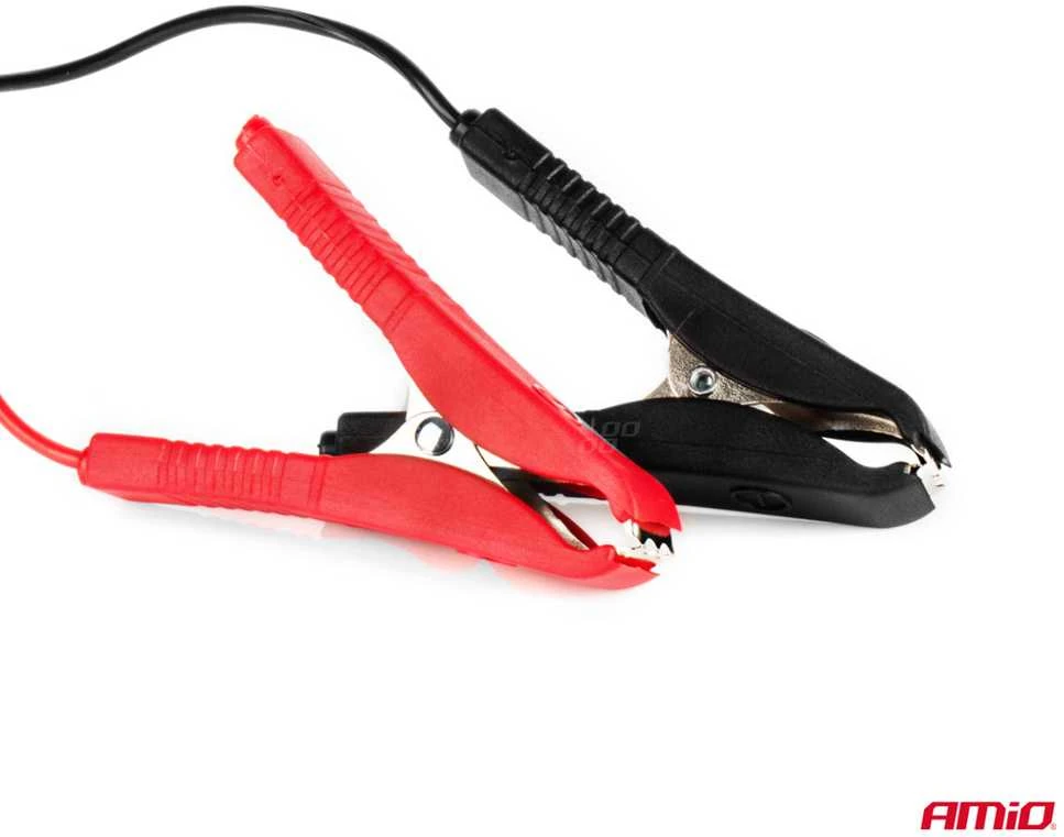 Automobilinis akumuliatoriaus įkroviklis Amio 12V, 8A, 120W