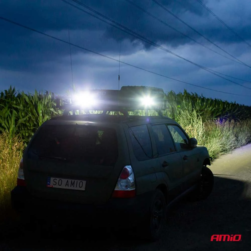 Darbinis Led žibintas Amio