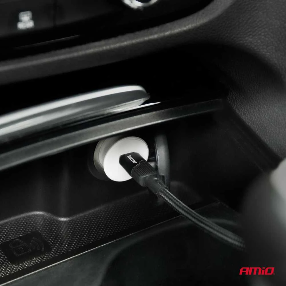Automobilinis įkroviklis 20W 12/24V AMiO-03876