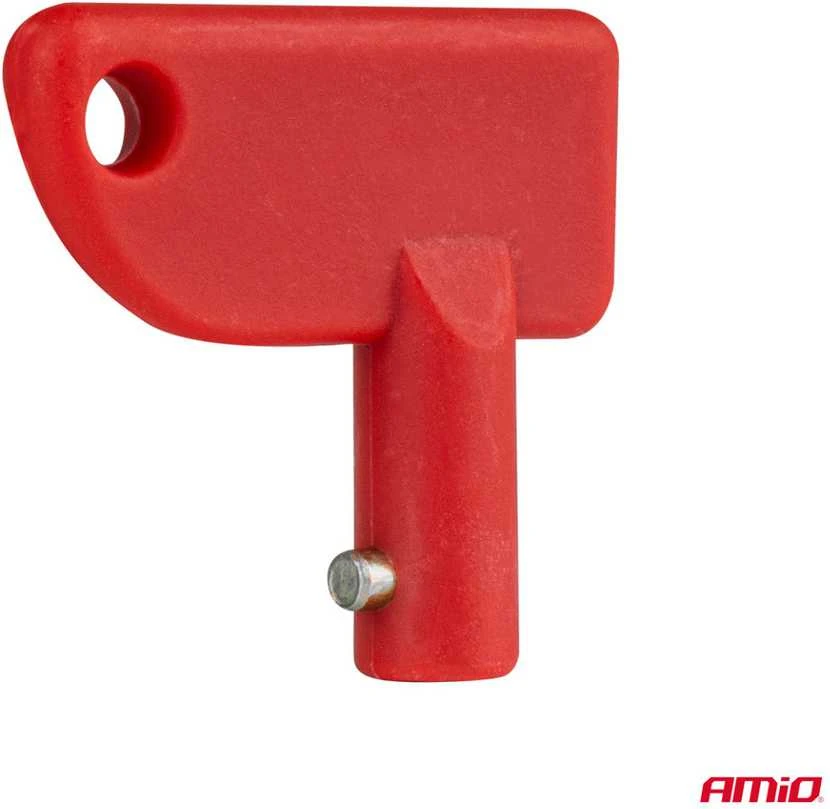 Pagrindinio jungiklio raktų rinkinys 10 vnt., AMIO-04805