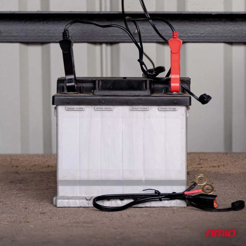 Skaitmeninis akumuliatoriaus įkroviklis AGM/GEL/LiFePO4 8A 12/24V PRO HOOK AMIO-04533