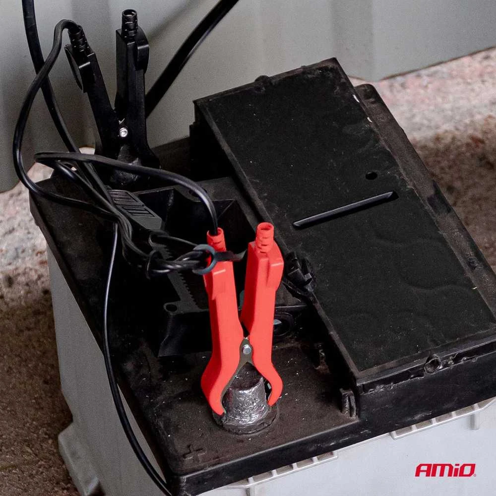 Skaitmeninis akumuliatoriaus įkroviklis AGM/GEL/LiFePO4 6A 6/12V PRO HOOK AMIO-04532