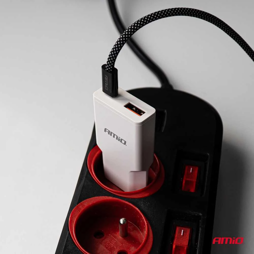 Tinklo įkroviklis 230V 20W GaN USB-C USB-A AMIO-04838