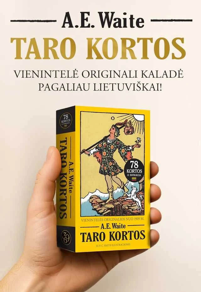 369 Cards Taro kortos lietuvių kalba