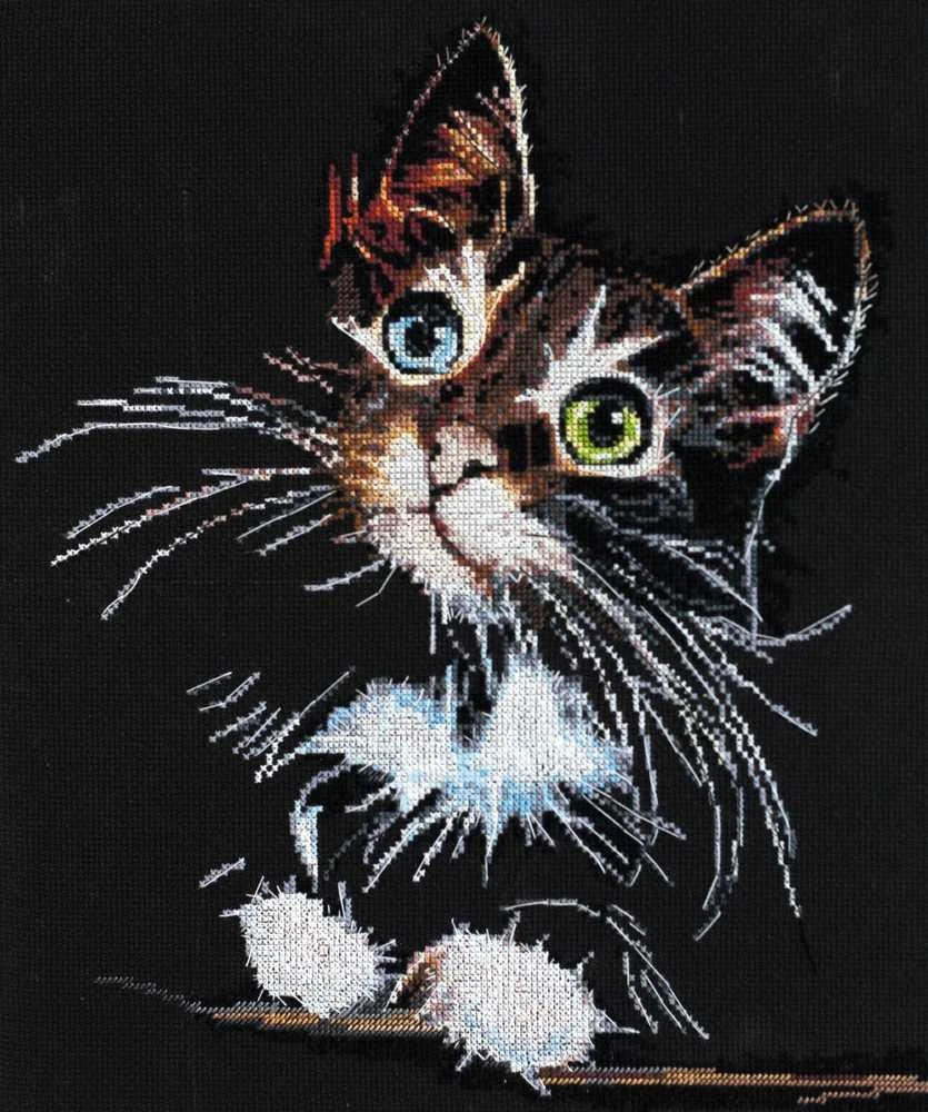 Abris Art Siuvinėjimo kryželiu rinkinys Pūkuotas kačiukas, 14 ct, 30x35 cm, 24 spalvų