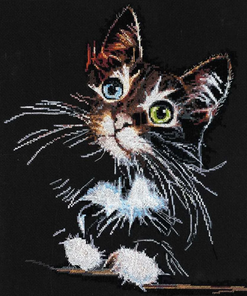 Abris Art Siuvinėjimo kryželiu rinkinys Pūkuotas kačiukas, 14 ct, 30x35 cm, 24 spalvų