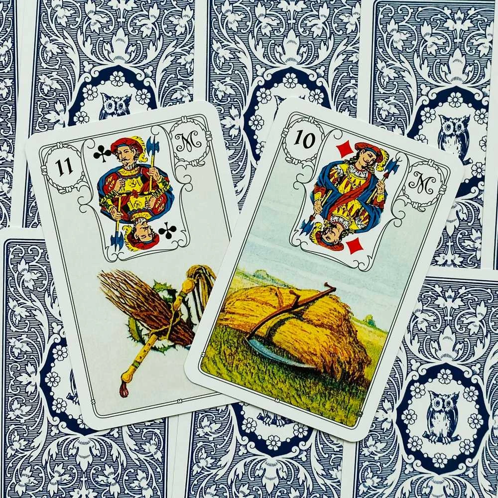 AGM Mėlyna Owl Taro Kortos
