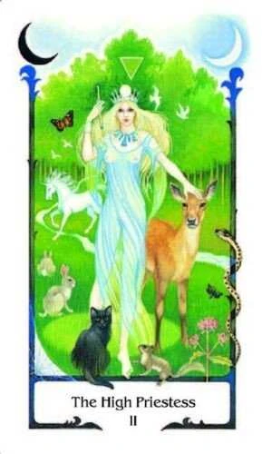 AGM Tarot Of The Old Path Kortos