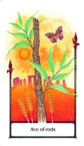 AGM Tarot Of The Old Path Kortos