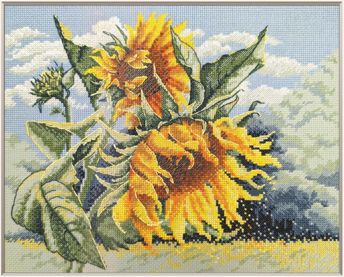 Aine Saulėgrąžos vėjyje kryželiu siuvinėjimo rinkinys, Aida 14 ct 30x24