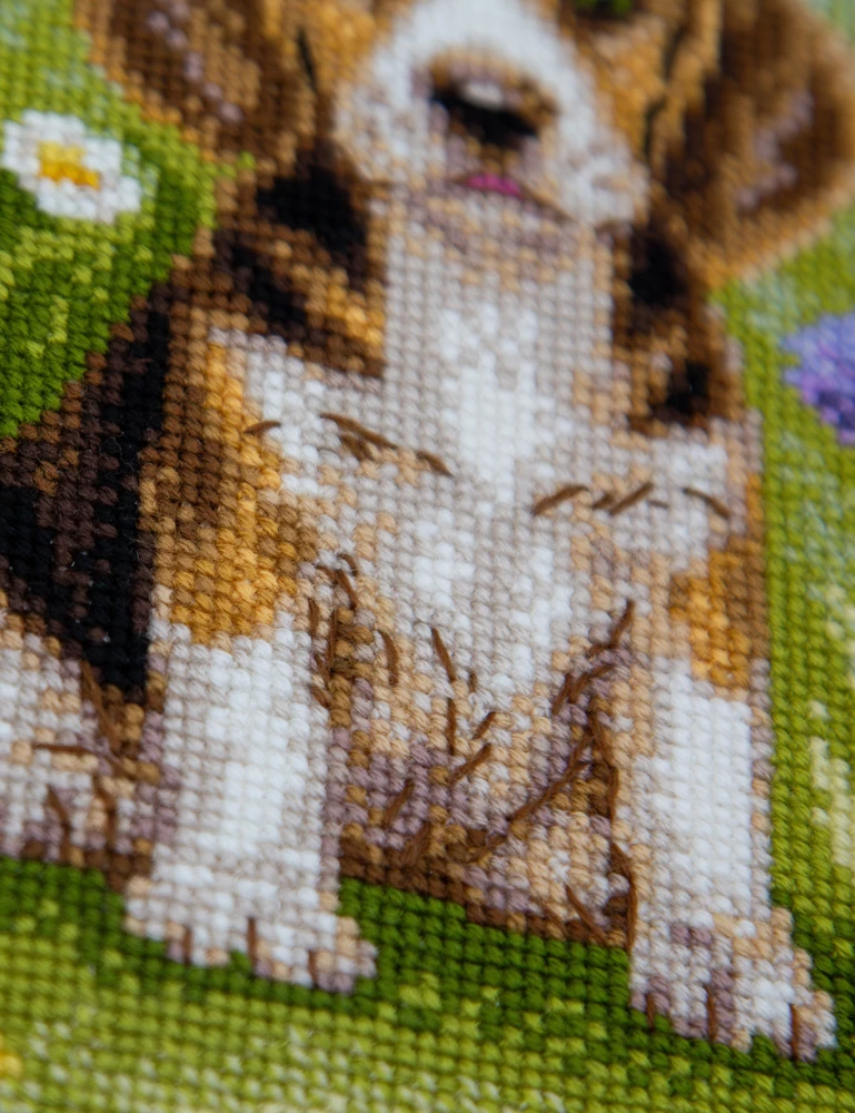 Aine Siuvinėjimo kryželiu rinkinys „Meadow Pup“ – bigliukas pievoje, 20 x 20 cm