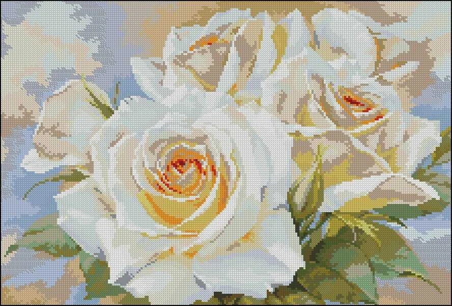 Alisa Beldizart Baltos rožės S2-32