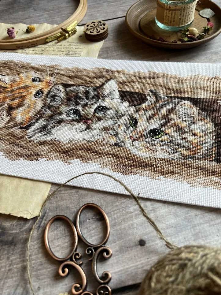 Andriana Kryželiu siuvinėjimo rinkinys „Pūkuotas trio“, 35×14,5 cm