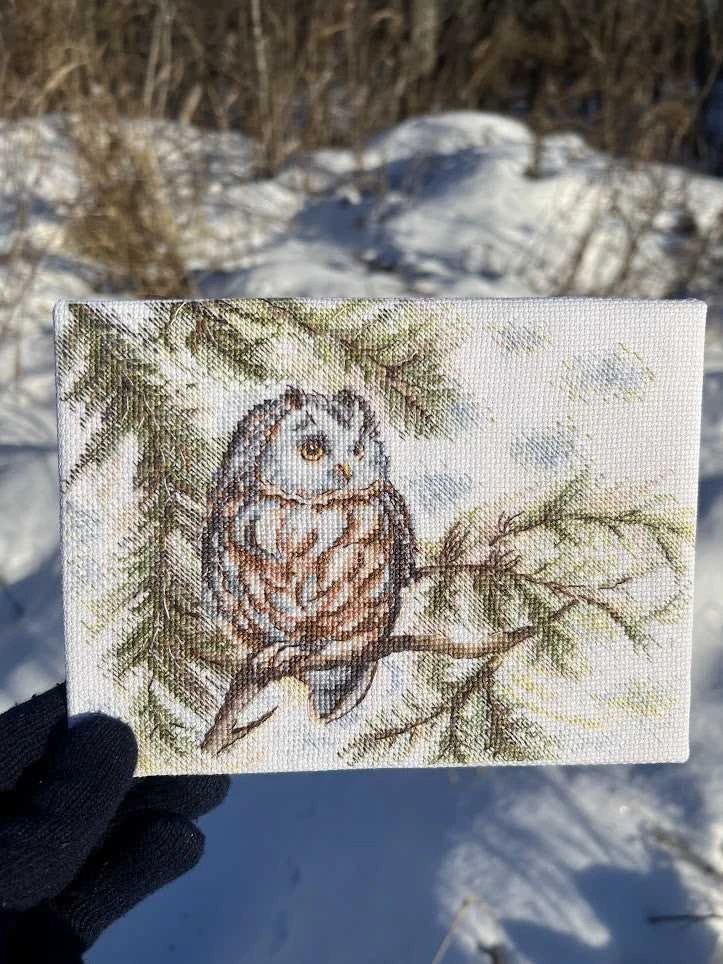 Andriana Beldizart Kryželiu siuvinėjimo rinkinys „Maža pelėda“ 20x15 cm SANS-73