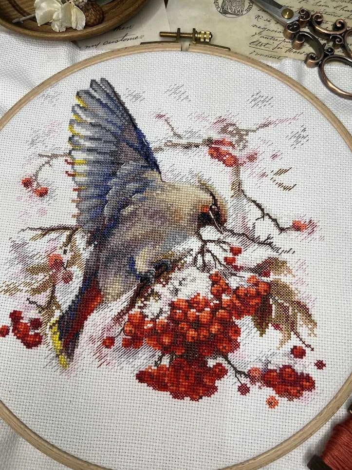 Andriana Beldizart Kryželių siuvinėjimo rinkinys "Waxwing" 19x19,5 cm SANS-72