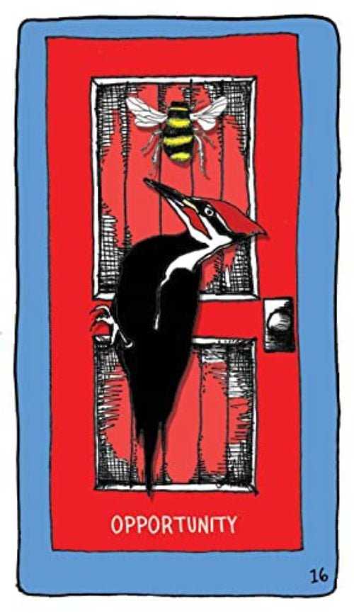 KNYGA Hay House Animal Apothecary Oracle Kortos