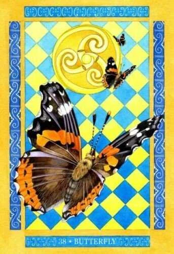 Animal Dreaming Beasts Of Albion Oracle Kortos