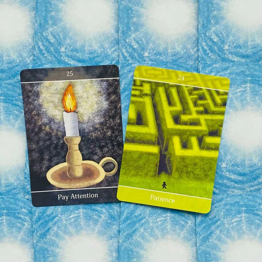 Animal Dreaming Beyond The Illusions Oracle Kortos