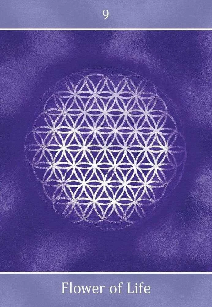 Animal Dreaming Beyond The Illusions Oracle Kortos