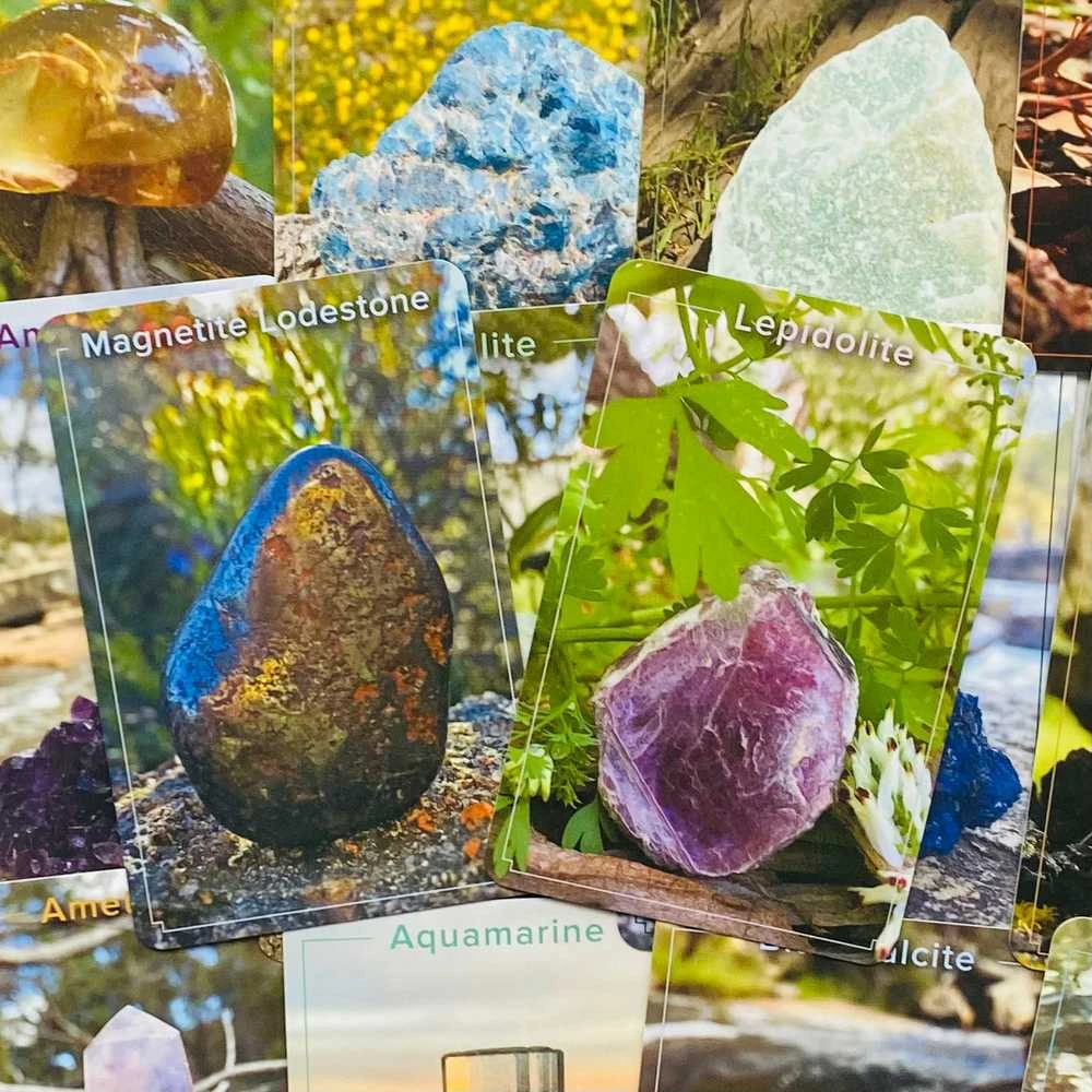 Crystal Connections Message Kortos Animal Dreaming