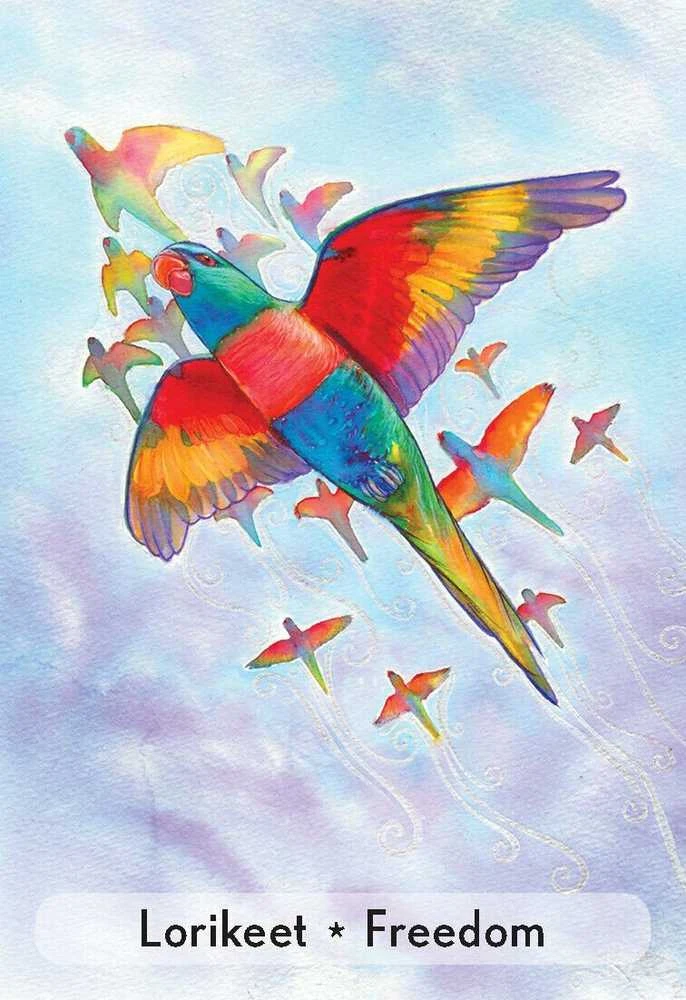 Animal Dreaming Enchanted Animal Oracle Kortos
