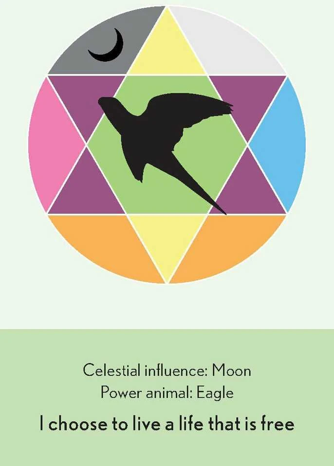 Animal Dreaming Enchanted Animal Oracle Kortos