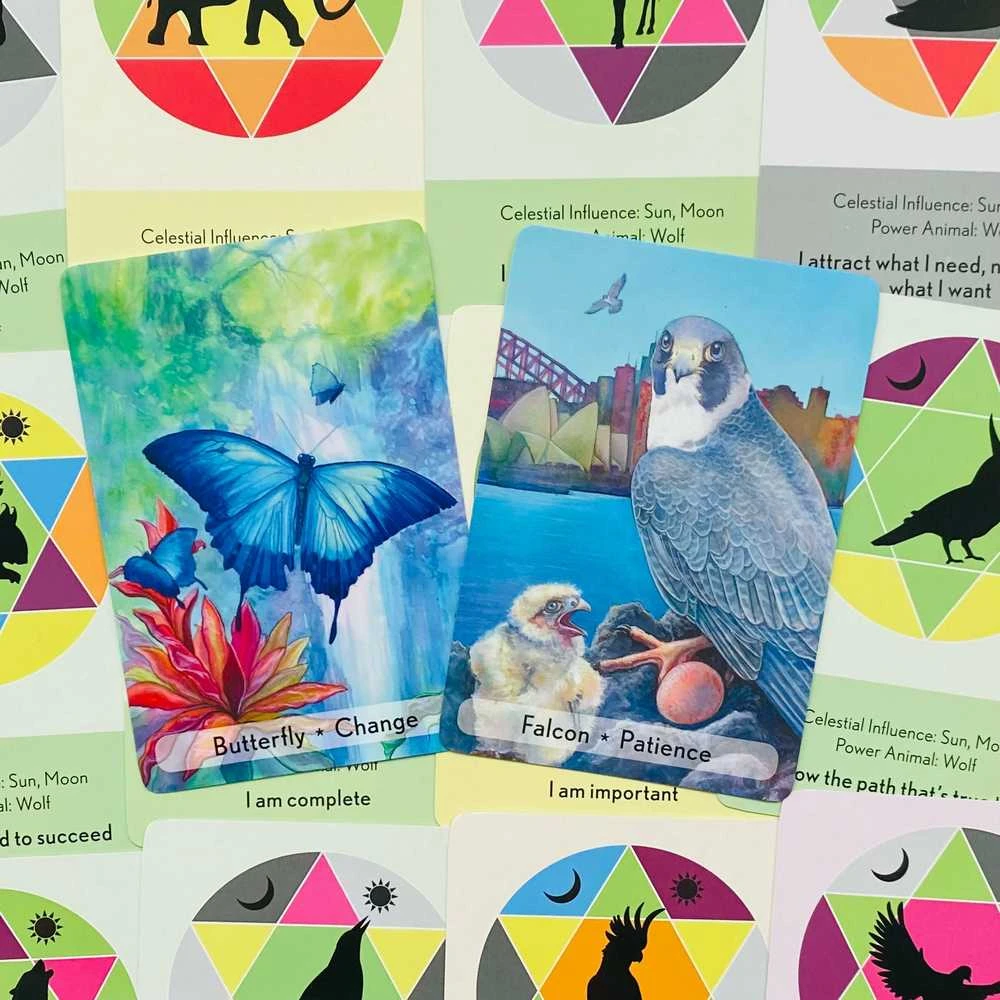 Animal Dreaming Enchanted Animal Oracle Kortos