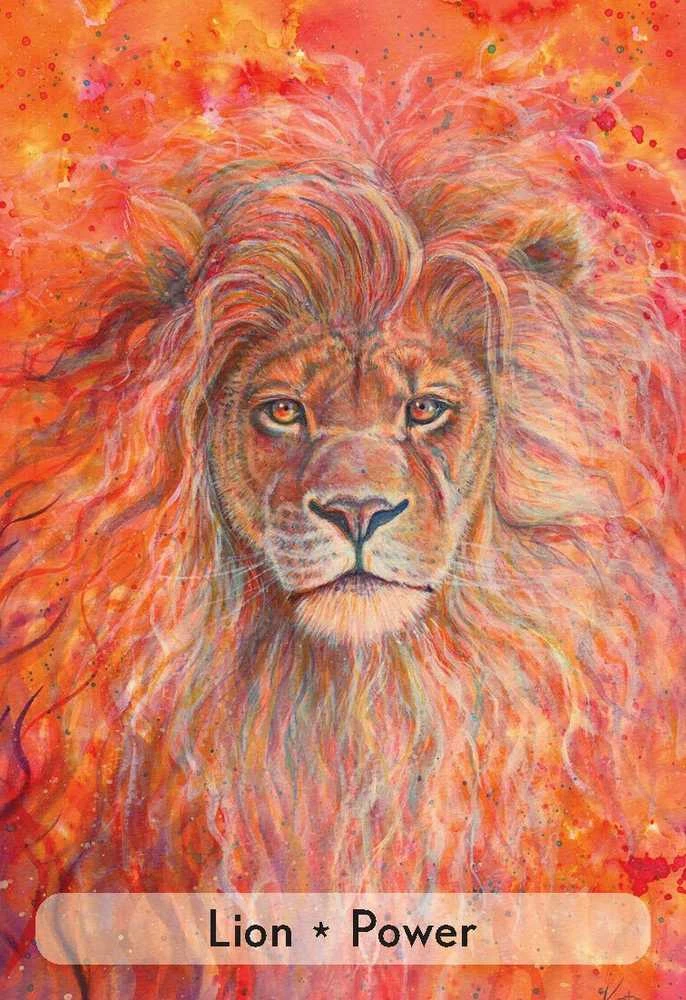 Animal Dreaming Enchanted Animal Oracle Kortos