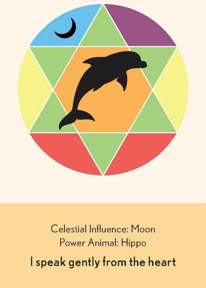 Animal Dreaming Enchanted Animal Oracle Kortos