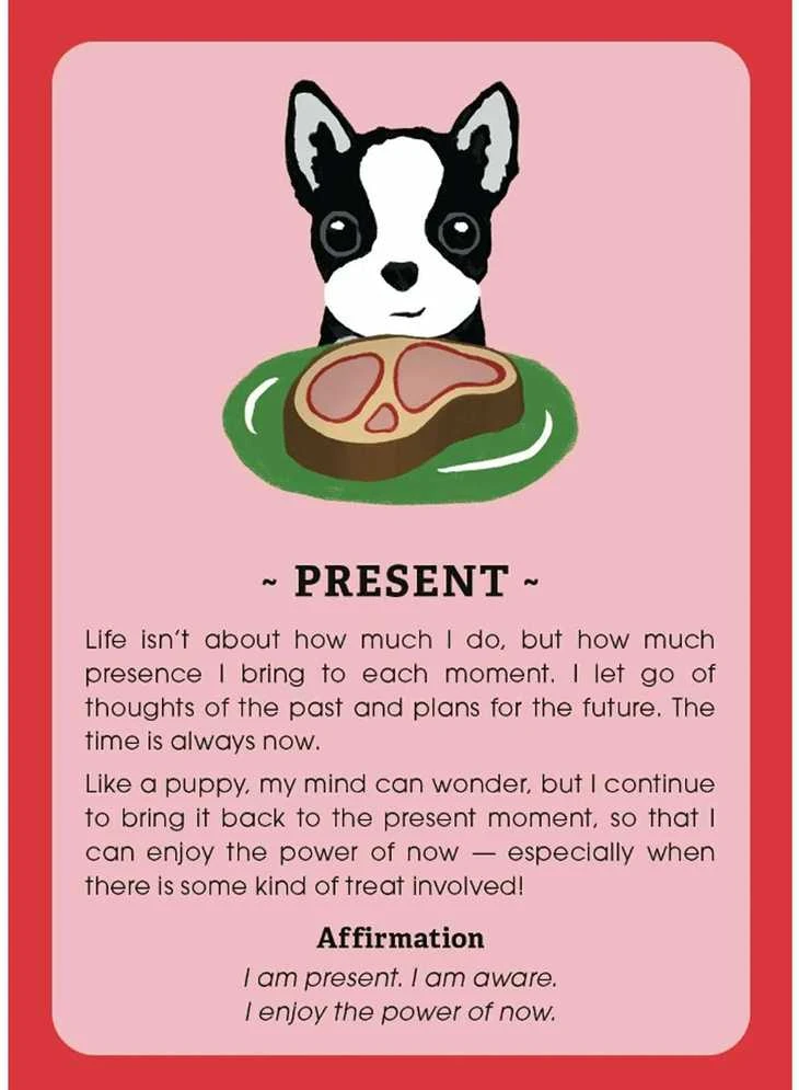 Animal Dreaming Pick Me Up Empowerment Kortos