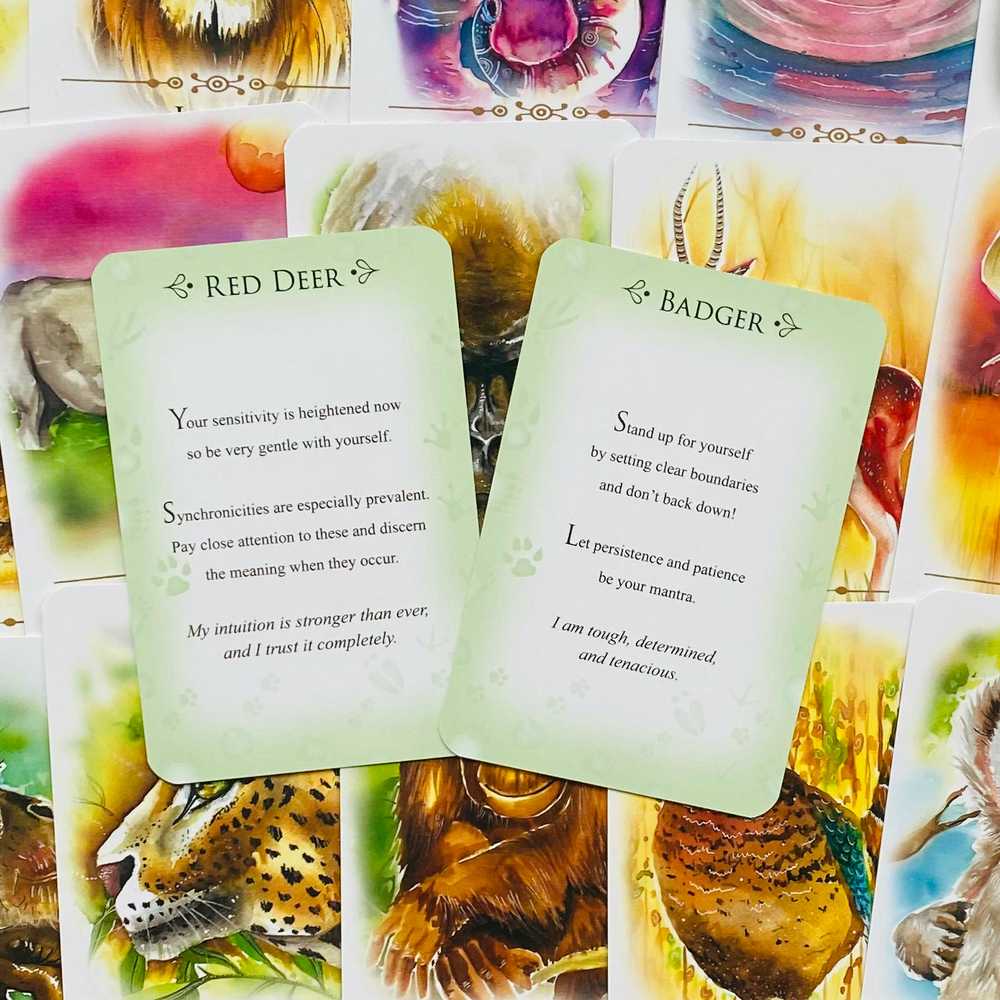 KNYGA Animal Dreaming Spirit Animals Message kortos