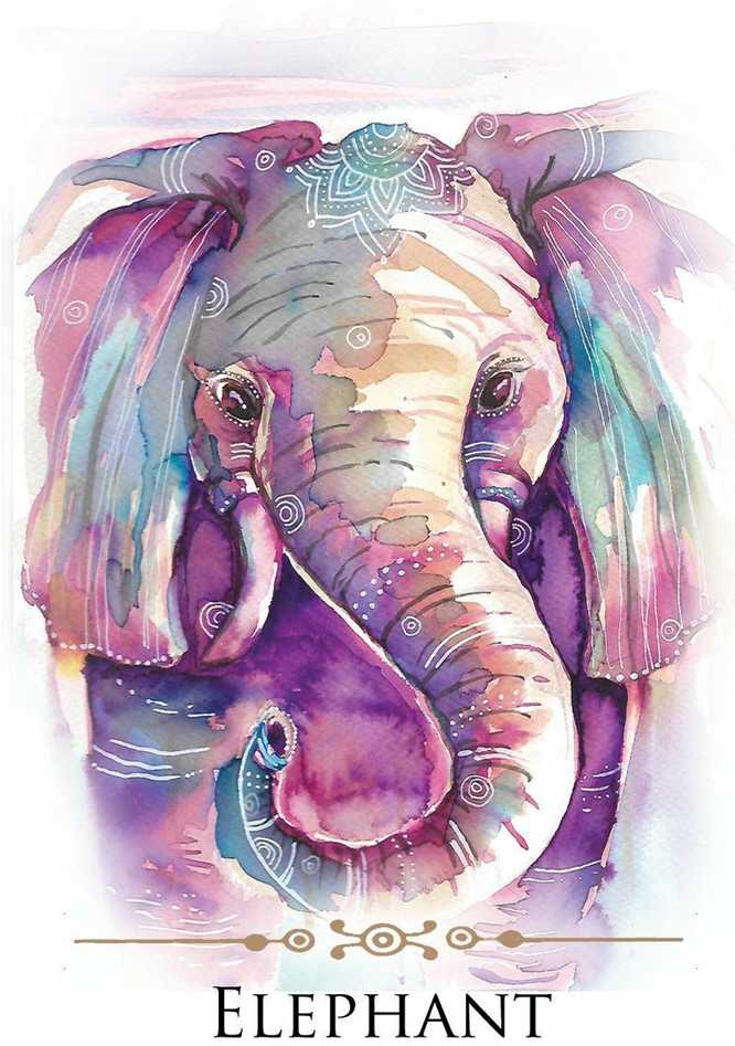 KNYGA Animal Dreaming Spirit Animals Message kortos