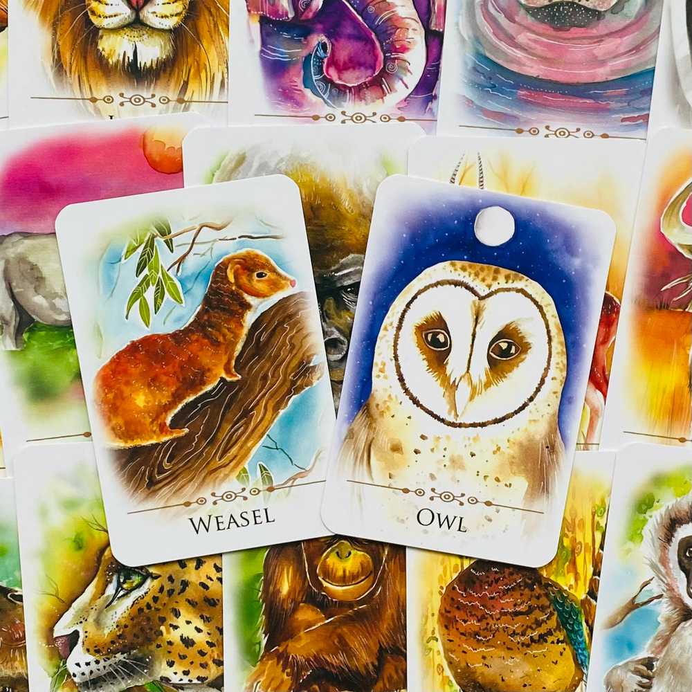 KNYGA Animal Dreaming Spirit Animals Message kortos