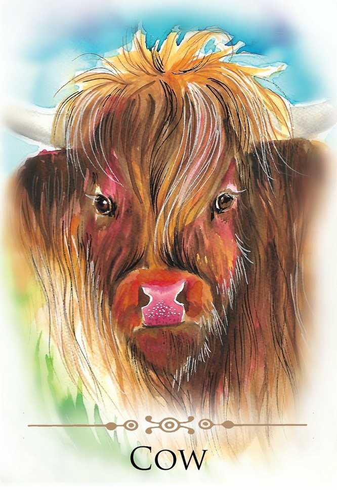 KNYGA Animal Dreaming Spirit Animals Message kortos