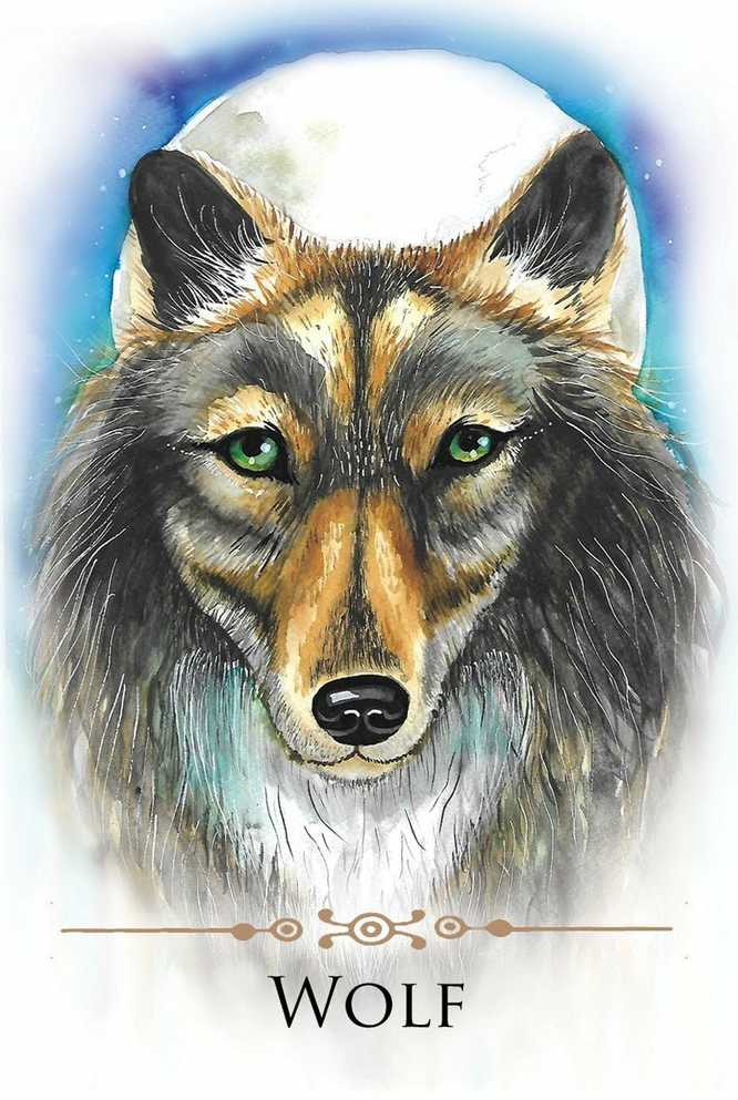 KNYGA Animal Dreaming Spirit Animals Message kortos