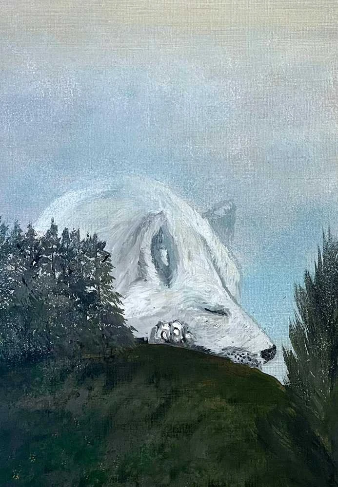 Animal Dreaming Spirit Dreaming sielos vedimo oracle kortos, 40 kortų