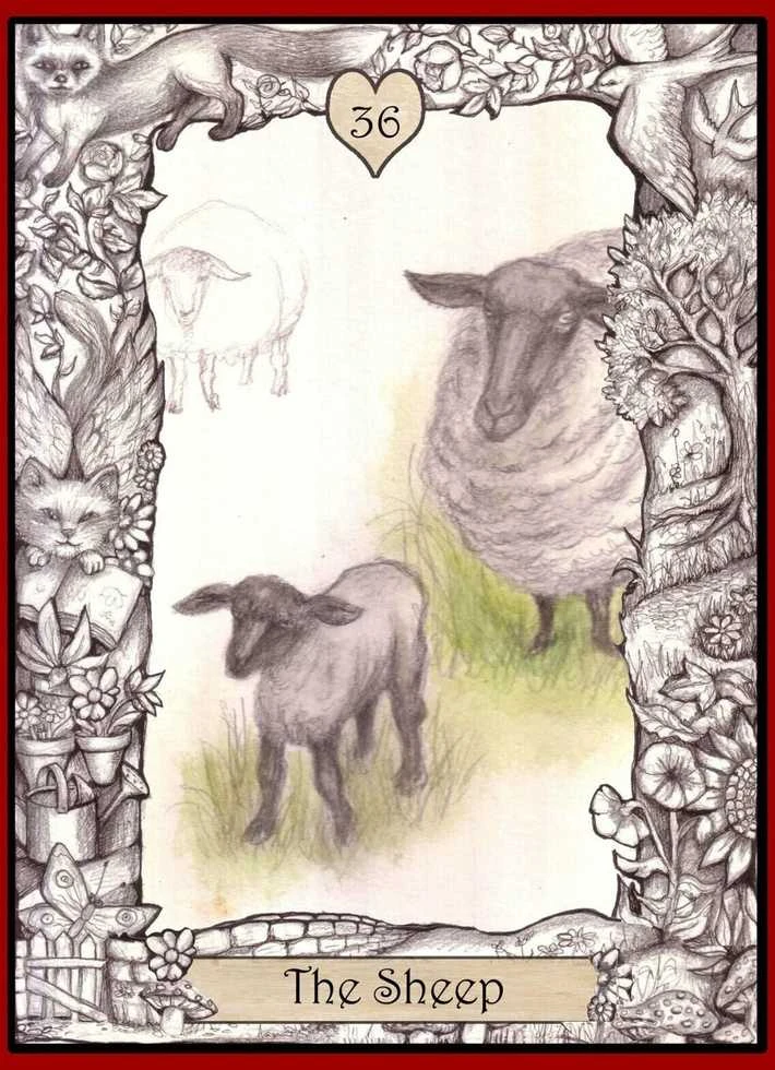 Animal Dreaming The Oracle Of The Innocent Heart kortos