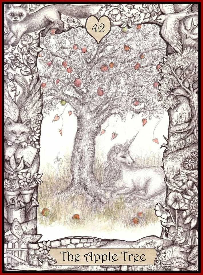 Animal Dreaming The Oracle Of The Innocent Heart kortos