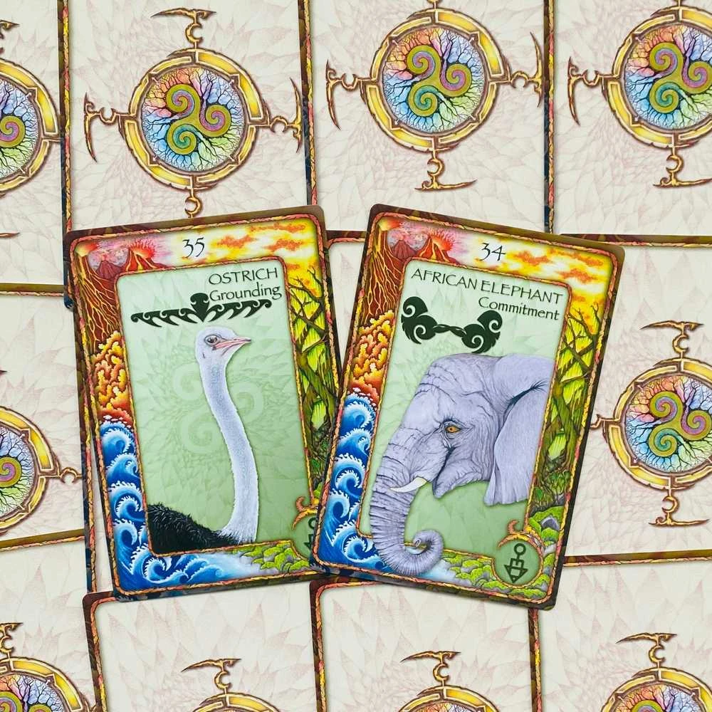 World Animal Dreaming Oracle Kortos