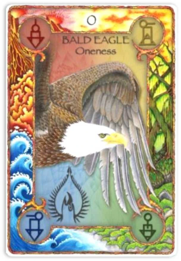 World Animal Dreaming Oracle Kortos