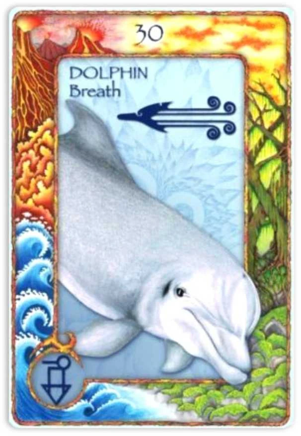 World Animal Dreaming Oracle Kortos