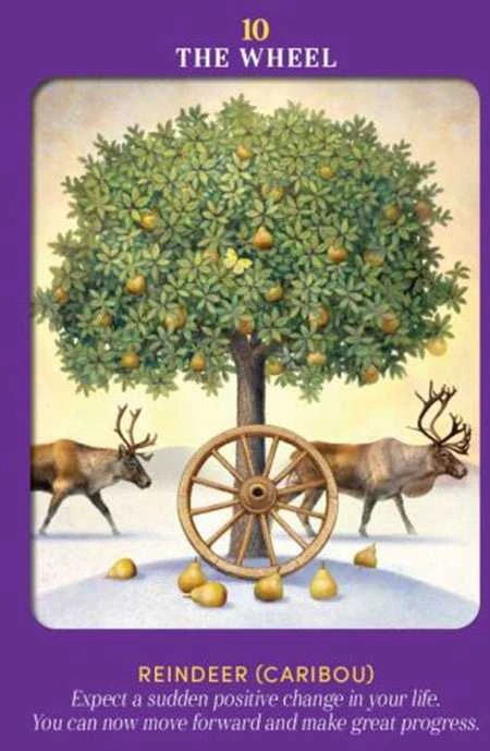 Hay House Animal Guides Tarot Kortos