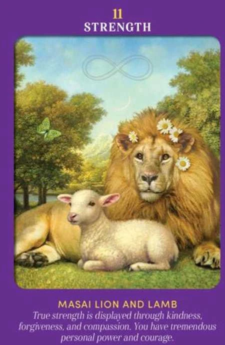 Hay House Animal Guides Tarot Kortos