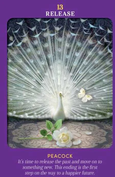 Hay House Animal Guides Tarot Kortos