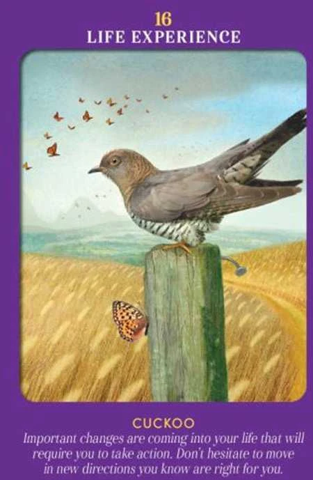 Hay House Animal Guides Tarot Kortos