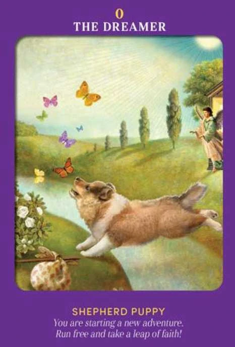 Hay House Animal Guides Tarot Kortos